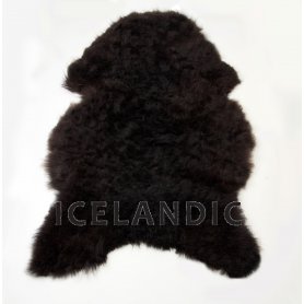 Musta lampaantalja, Icelandic, lyhyt karva
