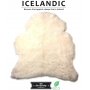 Harmaa lampaantalja, Icelandic x2, erikoispitkä, lyhyt karva