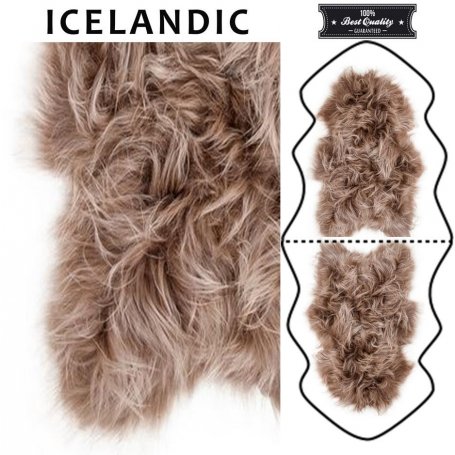 Toffee lampaantalja, Icelandic x2, erikoispitkä, pitkä karva
