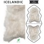 Valkoinen 180 cm lampaantalja, Icelandic x2, erikoispitkä