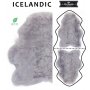 Harmaa lampaantalja, Icelandic x2, erikoispitkä, lyhyt karva