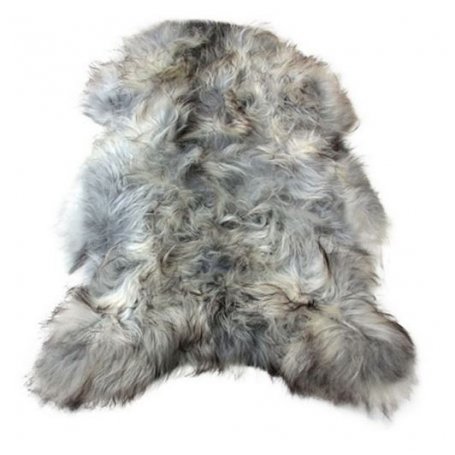 Natural grey lampaantalja, Icelandic