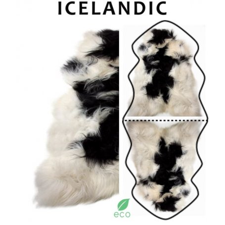 Musta Valkoinen lampaantalja, Icelandic x2, erikoispitkä, pitkä karva
