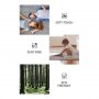Helppohoitoinen Aruba Grey matto - Easy Clean sisustusmatto