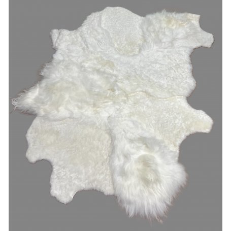 Icelandic lampaantalja matto, White, pitkä karva